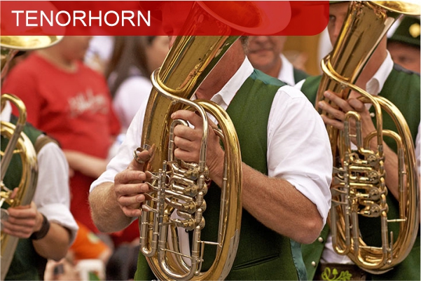 Tenorhorn