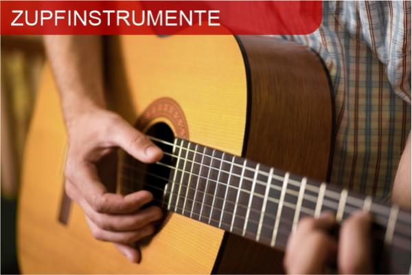 Zupfinstrumente